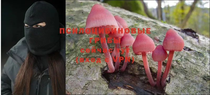 Псилоцибиновые грибы MAGIC MUSHROOMS  Оханск 